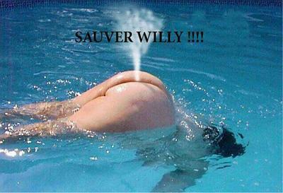 c est willy